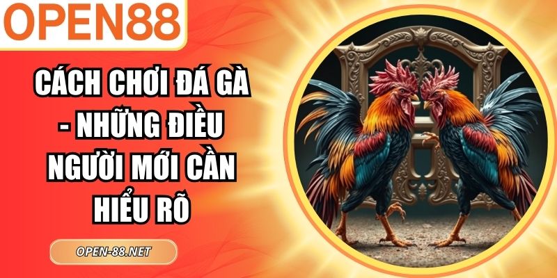 Cách Chơi Đá Gà