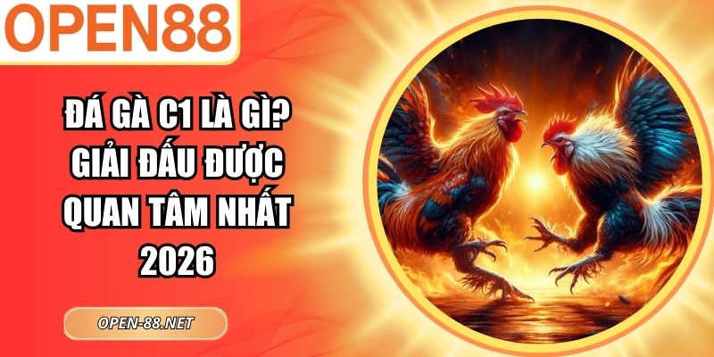 Đá Gà C1