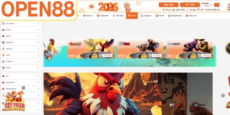Tại sao đá gà Open88 lại có sức hút?