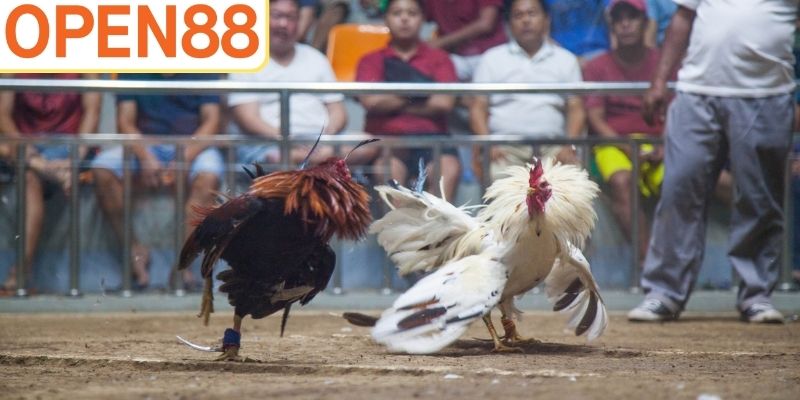 Hệ thống game được thiết kế minh bạch, công tâm