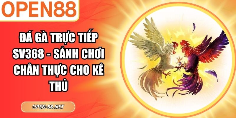 Đá Gà Trực Tiếp SV368