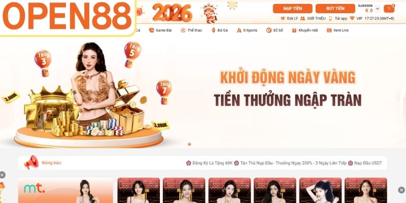 Giấy phép hoạt động là gì?