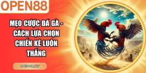 Mẹo Cược Đá Gà
