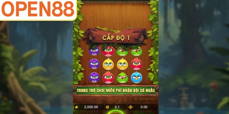 Birds Party mang đến bữa tiệc hấp dẫn